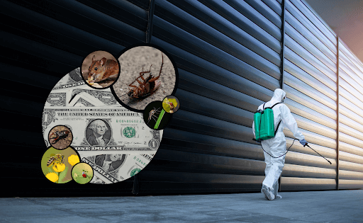 Are Pest Control Companies Worth The Money?
