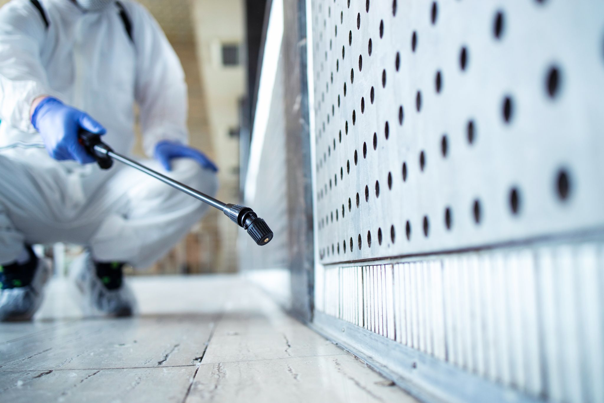 How Should You Prepare Your Apartment For Pest Control?
