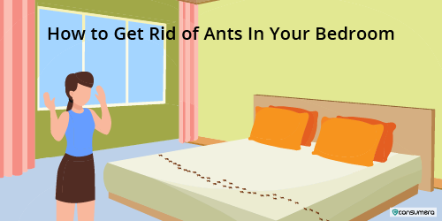 how-to-get-rid-of-ants-in-your-bedroom-consumera