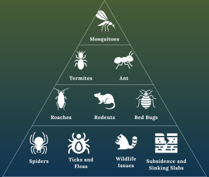 an infographic displaying the Major Pest-Related Issues Faced By The Residents Of Houston