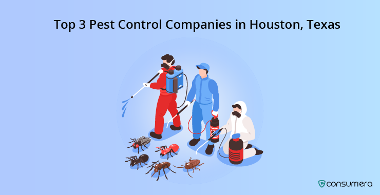 Top_3_Pest_Control_Companies_in_Houston_Texas