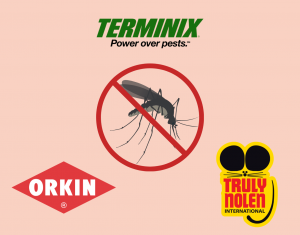 an image displaying the top pest control companies in Houston namely, Terminix, Orkin & Truly Nolen International