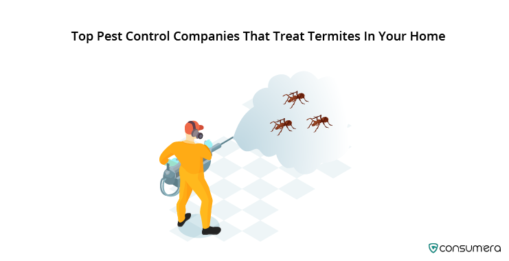 Top Pest Control Companies That Treat Termites In Your Home