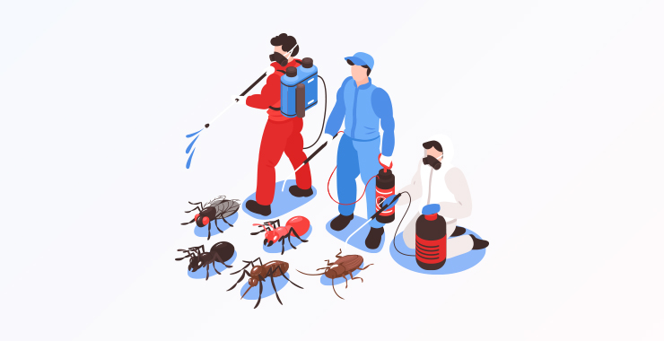 Bugs covered in pest control
