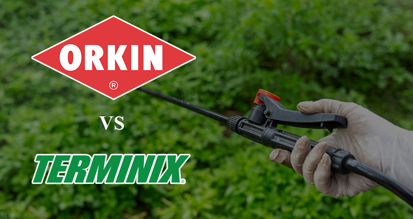 orkin vs. terminix