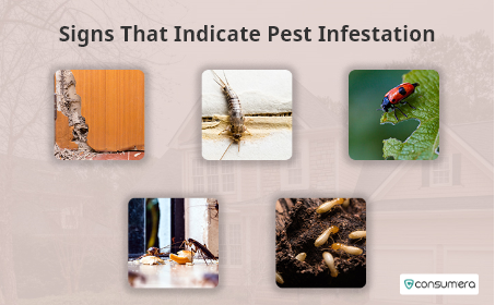 8 Signs Most Likely To Indicate A Pest Infestation