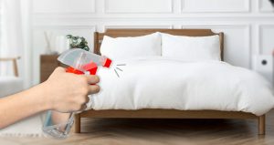 DIY-bed-bug-control