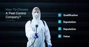 How-To-Choose-A-Pest-Control-Company