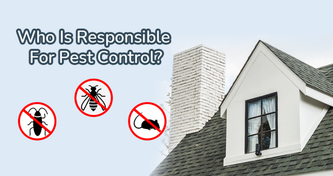Is-Pest-Control-Landlords-Responsibility