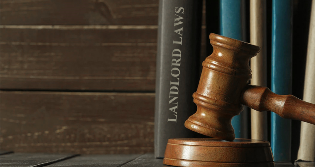 Is Pest Control Landlords' Responsibility Find Out