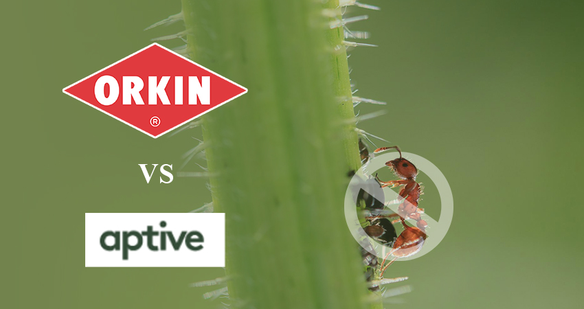 orkin-vs-aptive