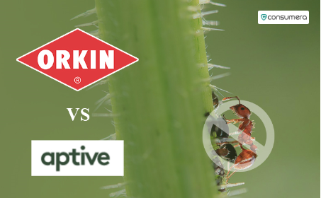 Orkin vs. Aptive Environmental: Which Is The Better Choice?