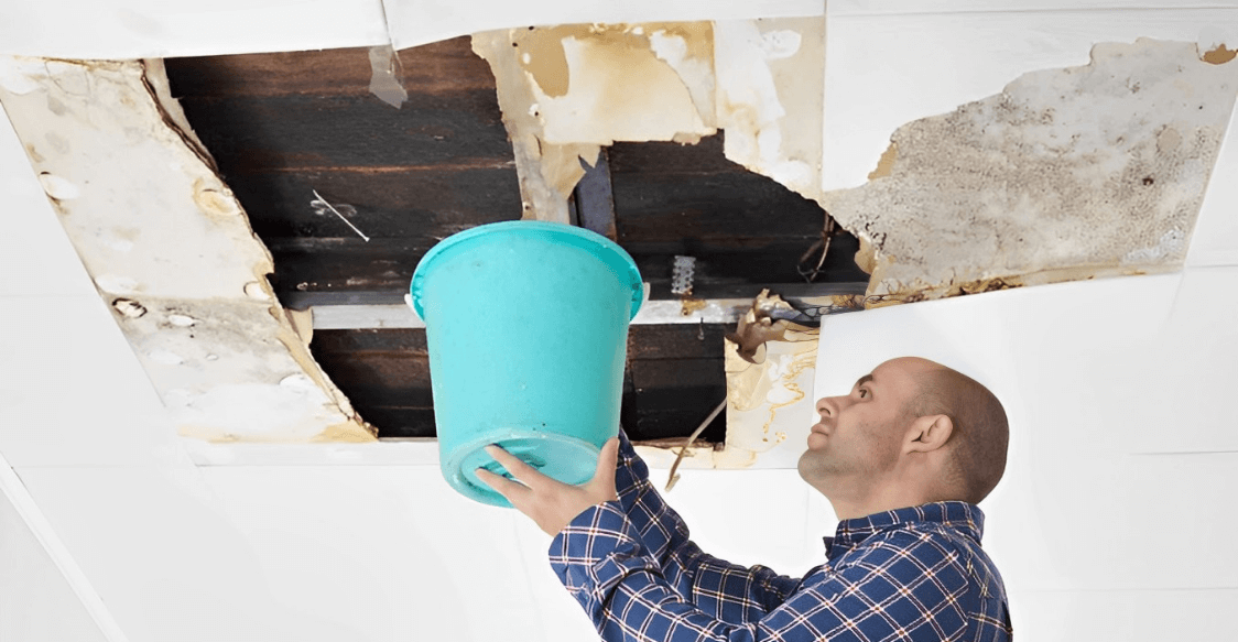 Is Your Metal Roof Leaking? Here's Why & What to Do