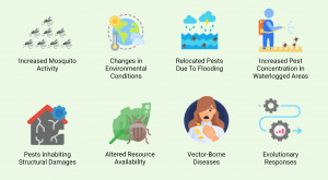 an infographic displaying the effects of hurricanes on pest population
